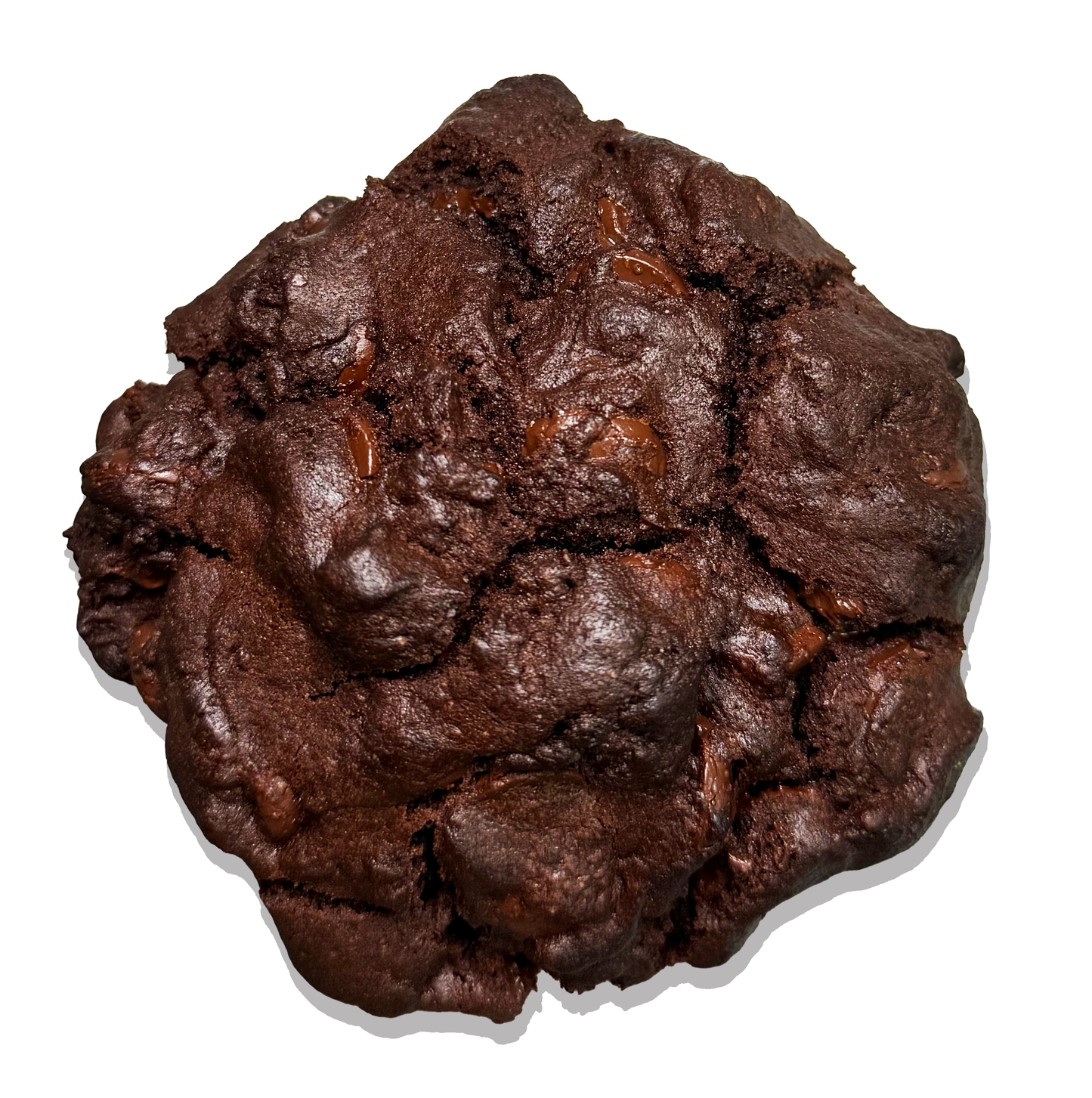 Double Chocolate Haven